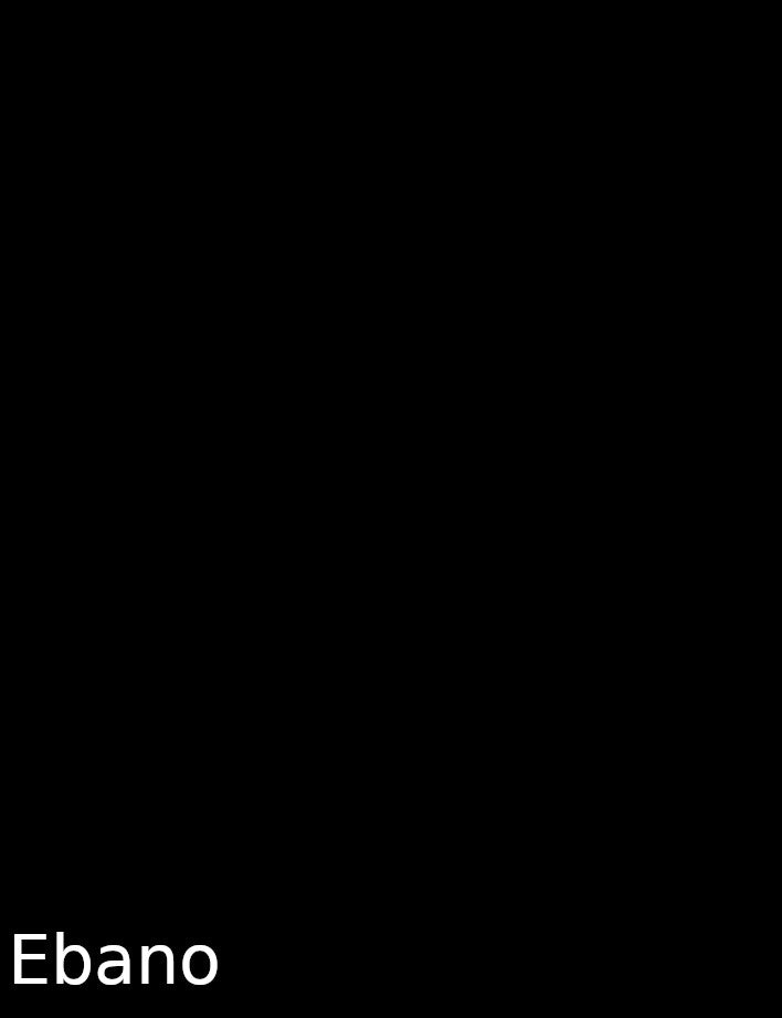 LEEDER M1